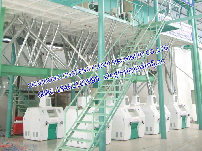 2015面粉廠社會(huì)實(shí)踐報(bào)告精選