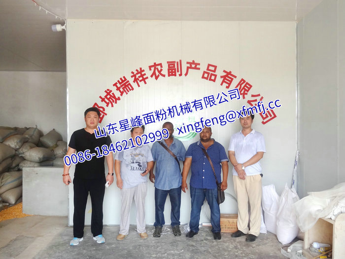 2.5 濟寧 河北8-12T 24h玉米糝（粉）生產(chǎn)線.JPG