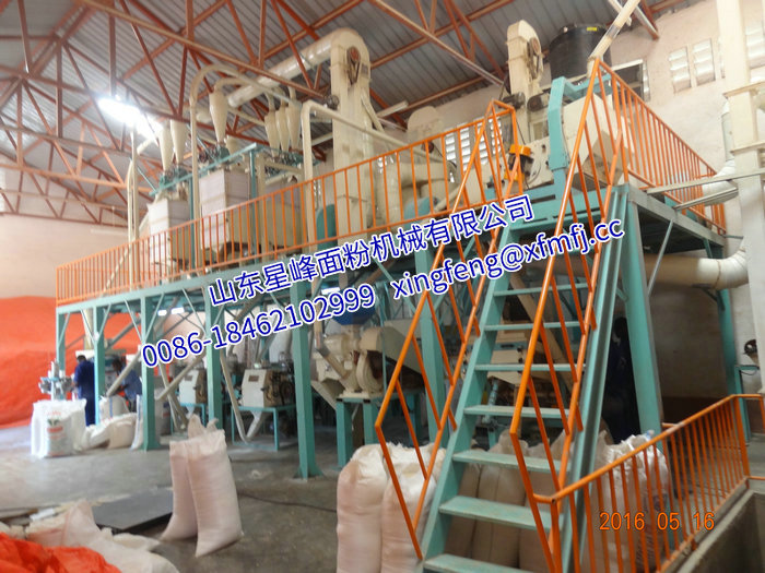 6.1 非洲烏干達40-52T 24h玉米粉生產線.JPG